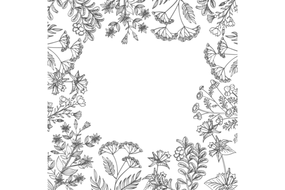 Download Botanical Frame. Herbal Border. Plants B - Herbal Collection